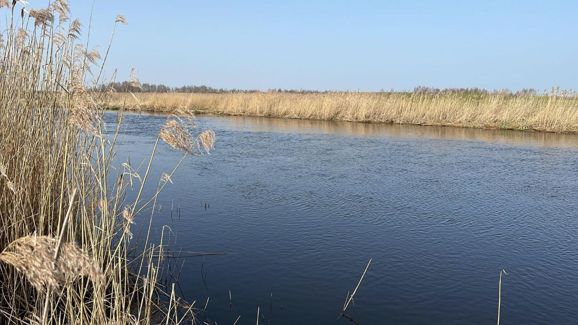 Biebrzanska Osada Villa Dolistowo Stare Bagian luar foto
